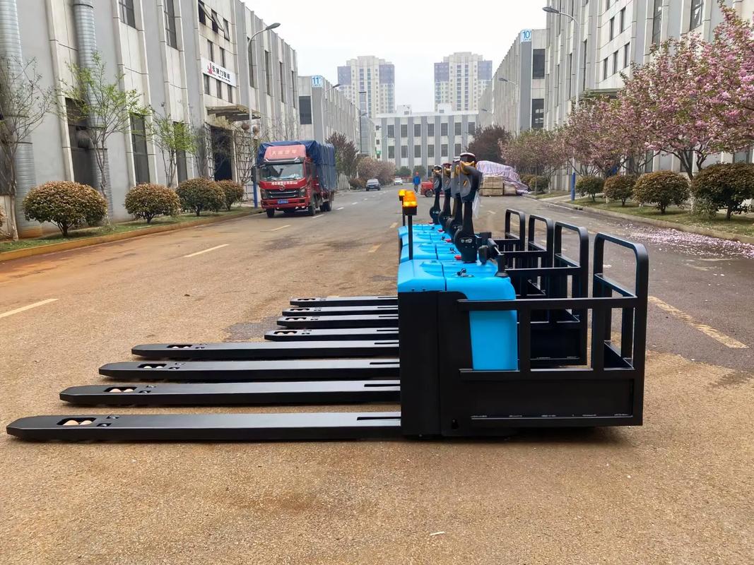 倉儲物流工廠非標(biāo)托盤搬運車 額定載重2500kg的高效解決方案